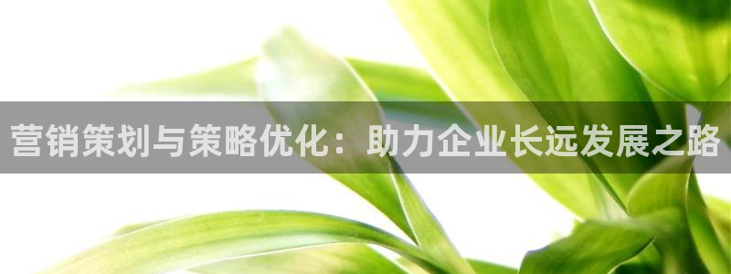 必赢官网网址多少：营销策划与策