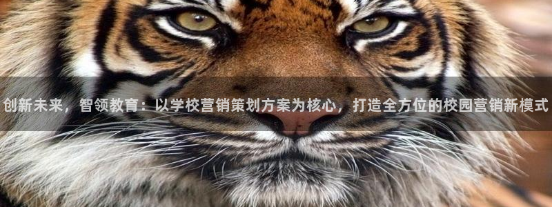 必赢亚赢网站官网下载安卓：创新