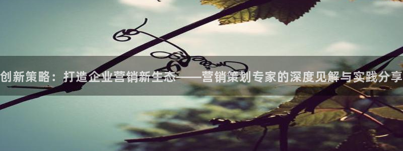 必赢官网app下载安装手机版最