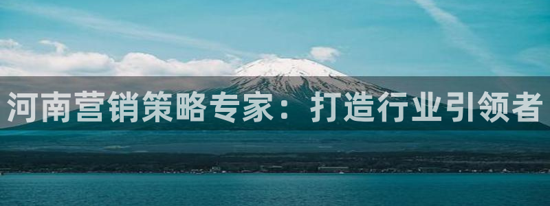 必赢线上网址是什么：河南营销策