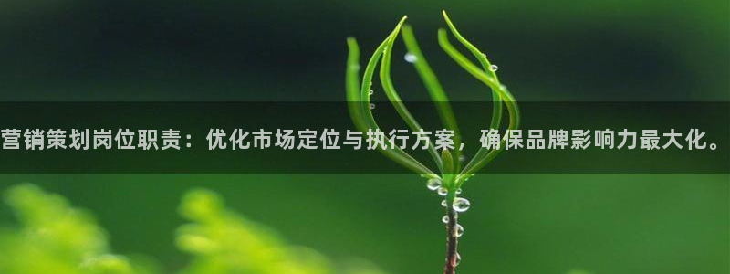 必赢集团网站官网