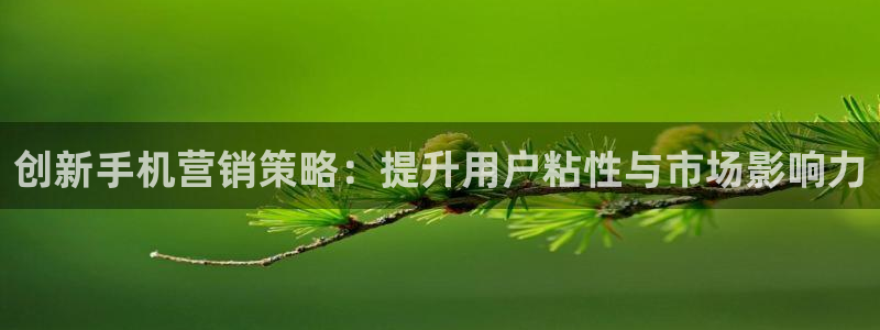 必赢国际437app下载