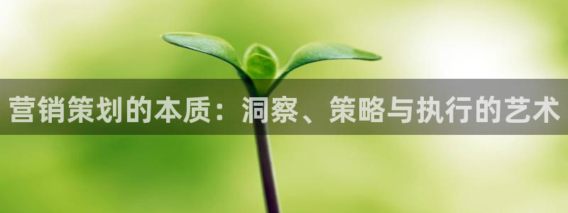 9965必赢游戏特色