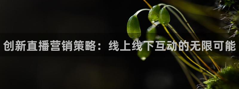 必赢国际app下链接