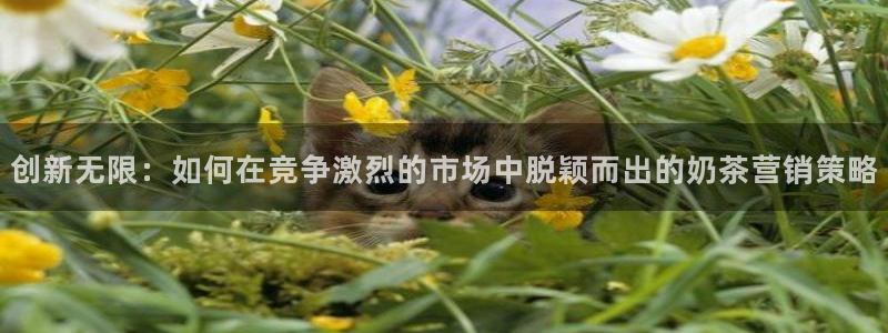 必赢官网app下载安装手机版最新版