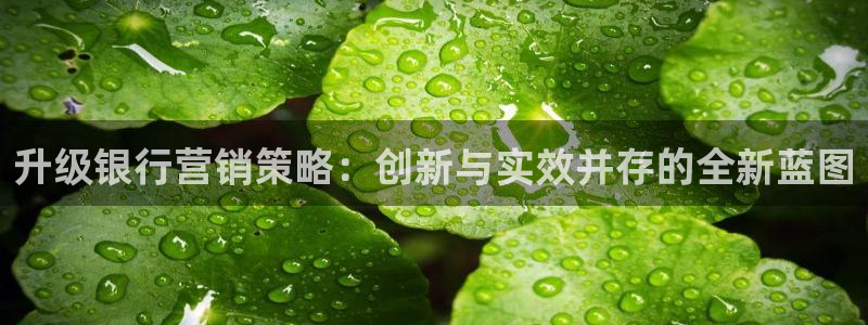 必赢官网入口下载安装苹果：升级